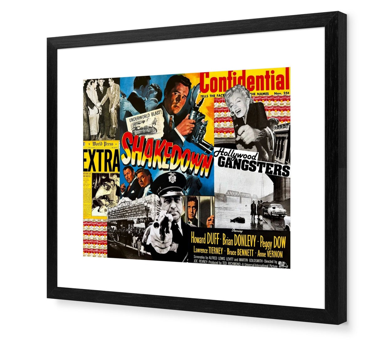 Shakedown Confidential
