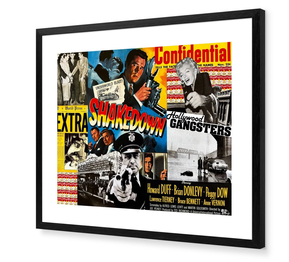 Shakedown Confidential