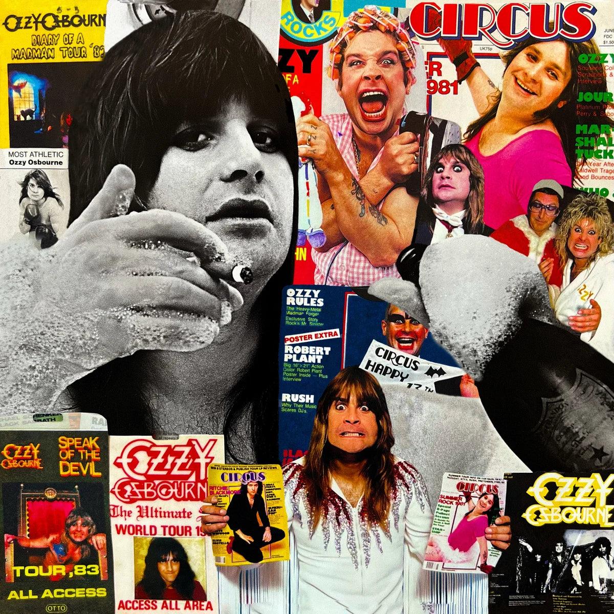 Ozzy - Collage Misfit